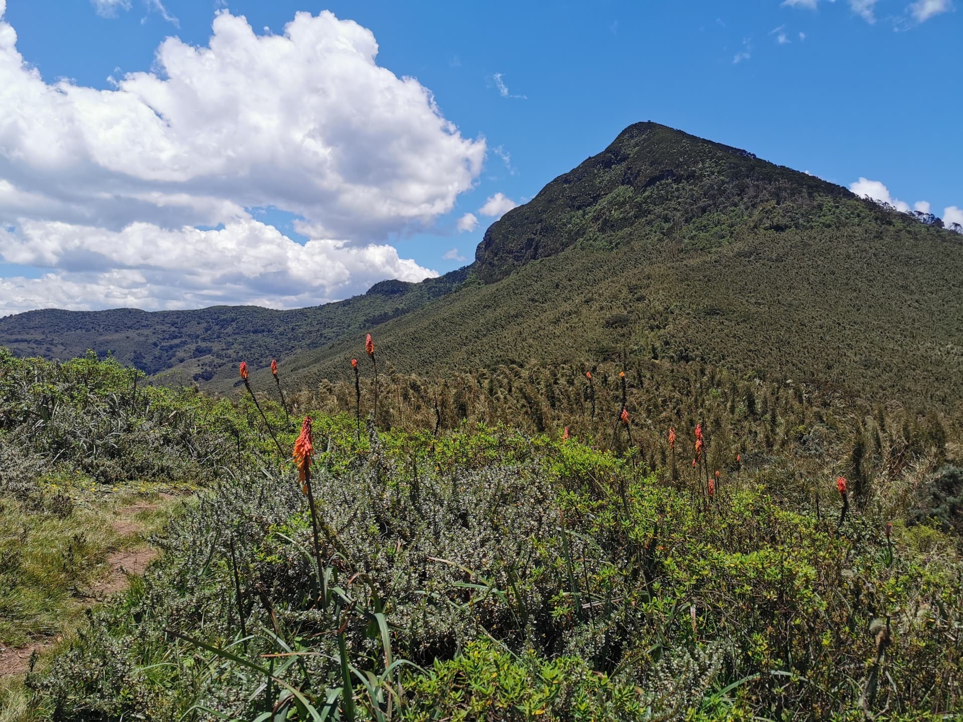 Aberdare National Park