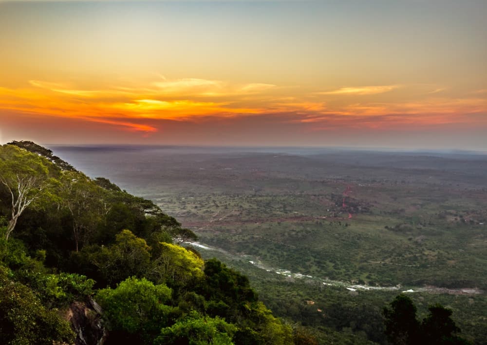 Shimba Hills National Reserve