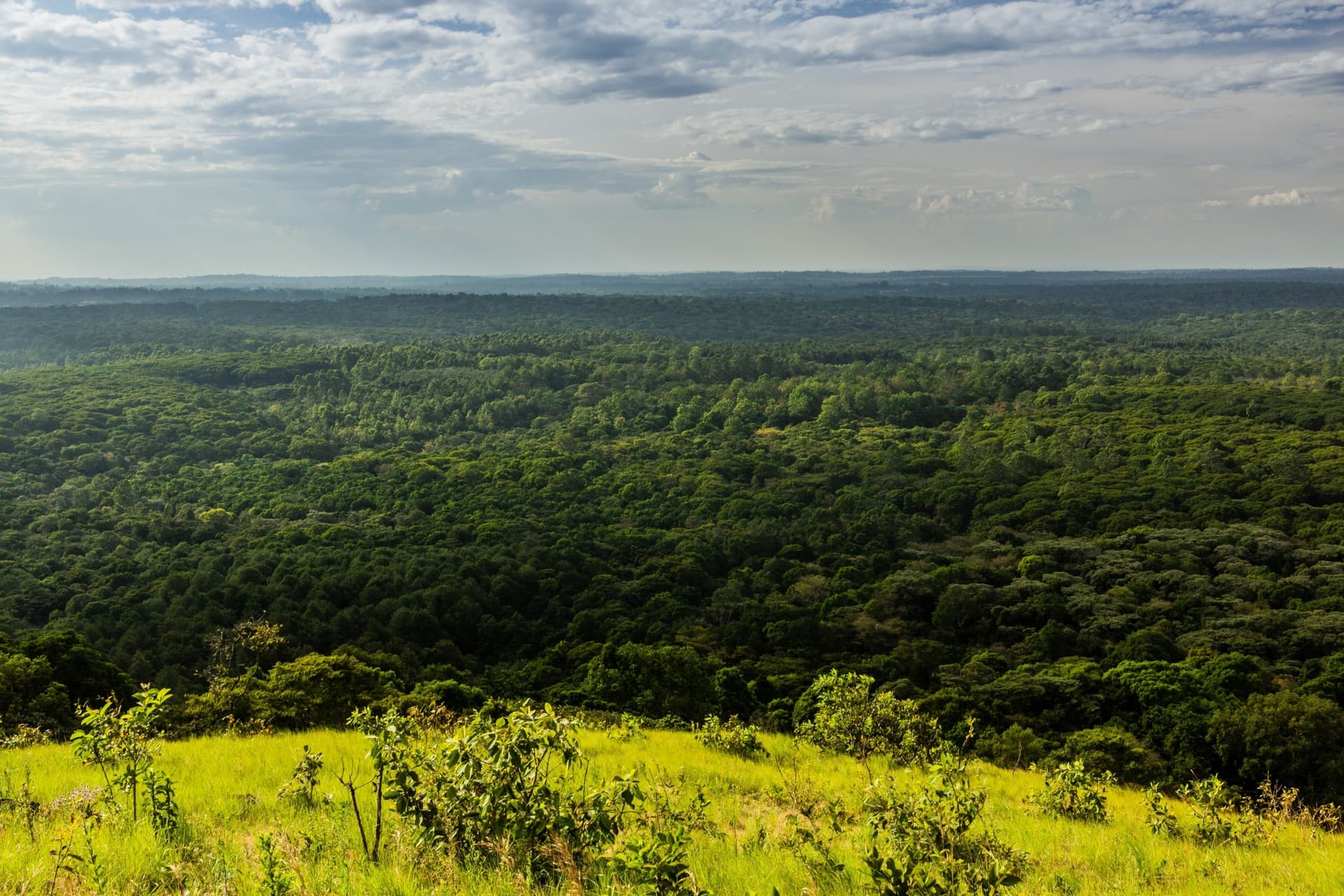 Kakamega Forest National Reserve