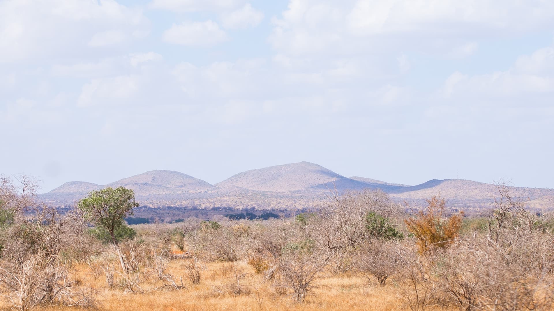 Chyulu Hills National Park